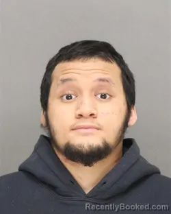 Mugshot of ALEJANDRO NMI CAMPOS-BLESOCH