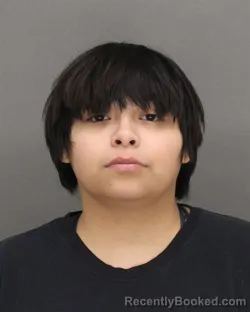Mugshot of ALEXIS RAQUEL BAHENA