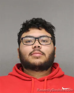 Mugshot of AMARI ANTHONY HERNANDEZ