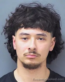 Mugshot of TERUE LY XIONG