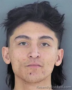 Mugshot of TANNER KAYEES MOUA