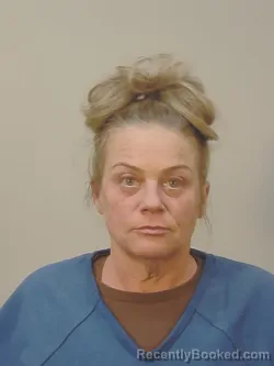 Mugshot of BRANDI LYNN JOHNSON