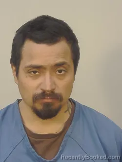 Mugshot of BRYAN D PETERSON