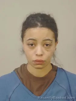 Mugshot of JAYLYNN RAE SWAN