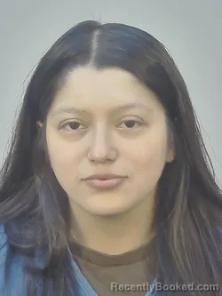 Mugshot of CYNTHIA MARISSA DOMINGUEZ