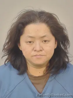 Mugshot of LINDA YANG