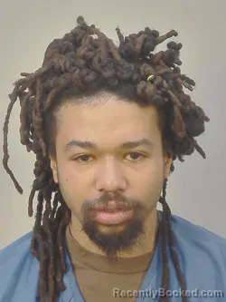 Mugshot of JOHNNY LEE MCDANIEL