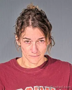 Mugshot of AMBER ELAINE MASHBURN