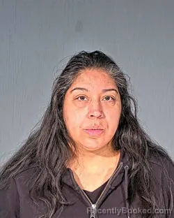 Mugshot of MARIA DEJESUS IBARRA