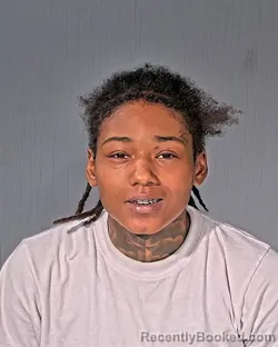 Mugshot of JANELL MIANGEL TAYLORCROSSII