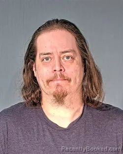 Mugshot of TYLER AARONMCNICHOLL STROHL