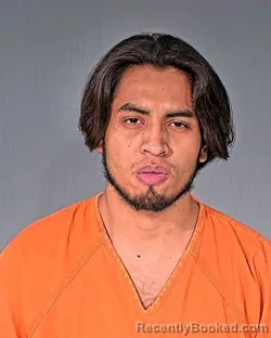 Mugshot of EVIN WILFREDO MARTINEZPEREZ