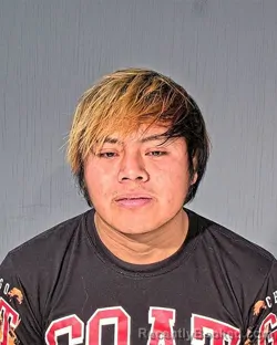 Mugshot of EDWIN GEOVANI CANELPORIX