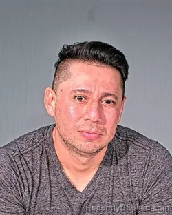 Mugshot of JUAN ALBERTO CASTILLOREYES
