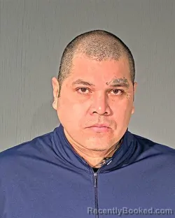 Mugshot of ROGELIO TORRES