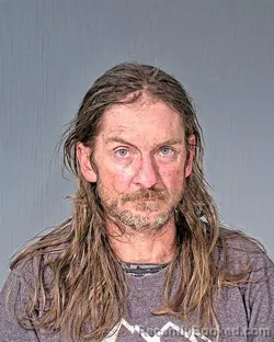 Mugshot of SHANNON M LORING