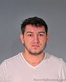 Mugshot of ELIESER PERALTAVANEGAS
