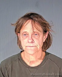 Mugshot of JANE LOUISE DRECKMANN