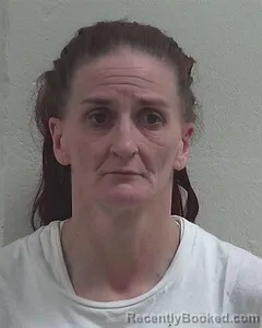 Mugshot of KRISTINA A STEFANSKI