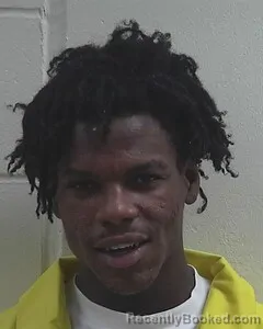 Mugshot of ERIN L HEARD