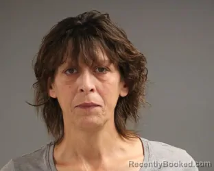 Mugshot of BRENDA LYNN LILLGE