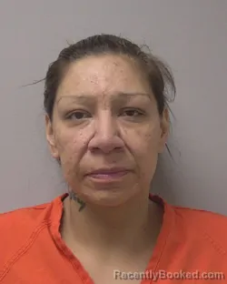 Mugshot of CARRIE JO WINTERS