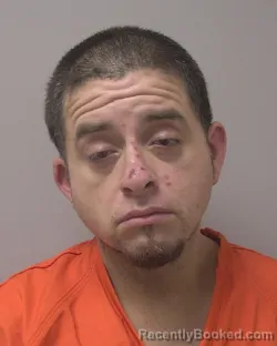 Mugshot of JULIAN ALVAREZ