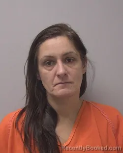 Mugshot of LISA ANDREA PERRY