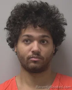 Mugshot of MARIO TEHRON CAMACHO