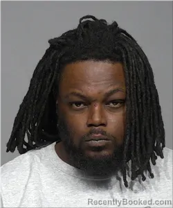 Mugshot of Brandon Watkins