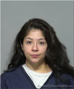 Mugshot of JUDITH FLORES RIOS
