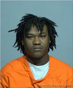 Mugshot of Davieon Brown-Williams