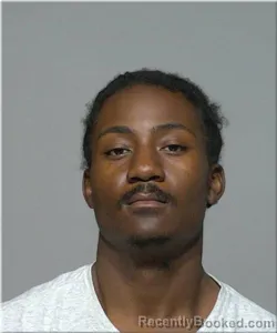 Mugshot of Ricardo Lewis