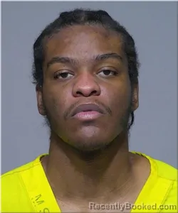 Mugshot of Caleel Brown