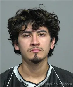 Mugshot of MOISES URGELL REYES