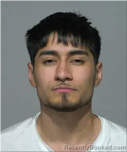 Booking photo from Milwaukee County, Wisconsin