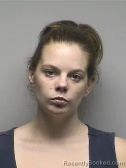 Mugshot of Abigail R Santee