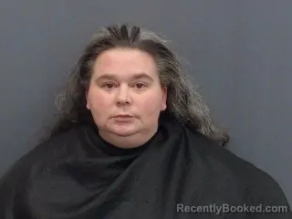 Mugshot of AMANDA ELIZABETH PERKINS