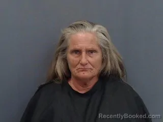 Mugshot of LAURA ANN MEISTERSELLEN