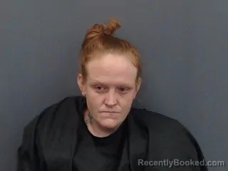 Mugshot of ROBYN PATRICIA MINATREA