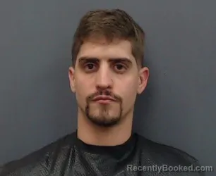 Mugshot of GUSTAVO ADOLFO VILANOVA-GARRATON