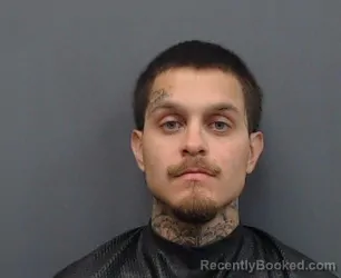 Mugshot of ALFREDO BARRIOS