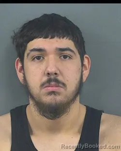 Mugshot of RODRIGO ESTRADA