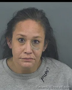 Mugshot of LUCILLE LYNN ANDERSEN