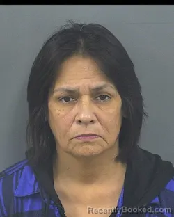 Mugshot of DEANNA MARIE JOHNSON