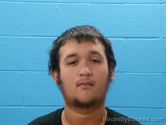 Mugshot of BRANDON LEE PEREZ