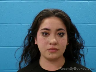 Mugshot of ISABELLA PILAR HINOJOSA