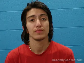 Mugshot of MICHELLE PAZ