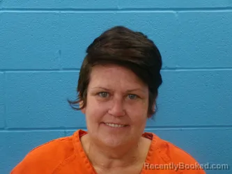 Mugshot of ROBIN ALLISON WILEY