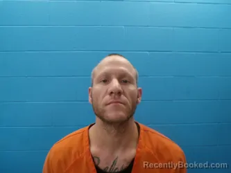 Mugshot of BRANDON RAY WHITE